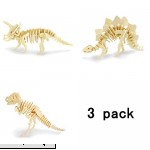 3 Pack 3D Wooden Puzzles Dinosaur DIY Assembly Model Adult Craft DIY Brain Teaser Games Engineering Toys  B07BY6BWVJ